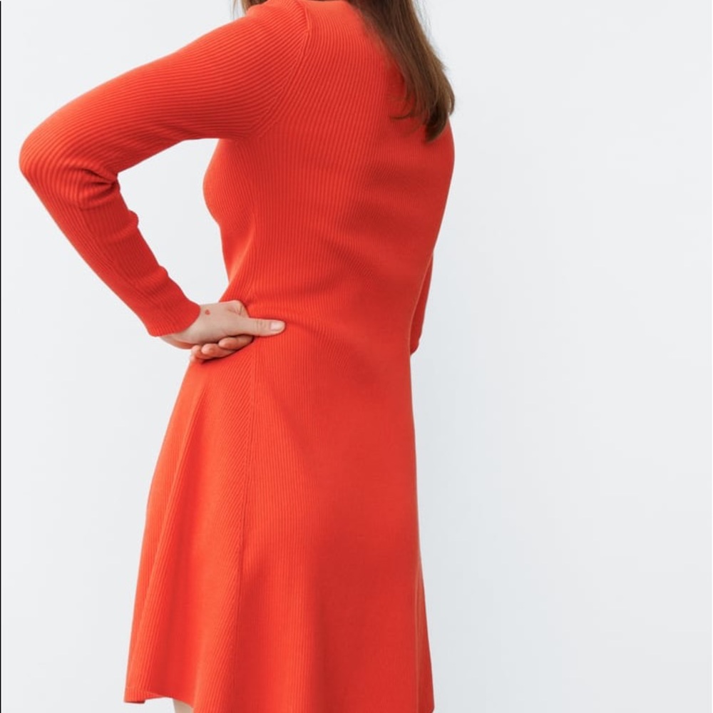 Zara Skater Knit Dress - Picture 5 of 14